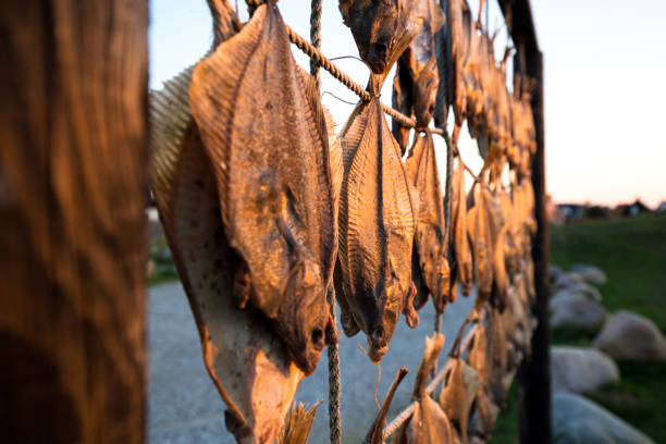 🔥Why Choose Godavari Dry Fish?