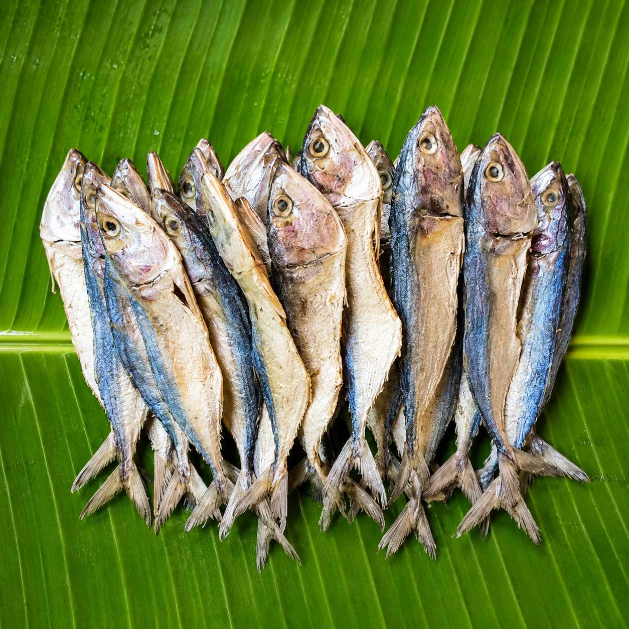 Kanakanthalu (Indian Mackerel) is a classic coastal staple.