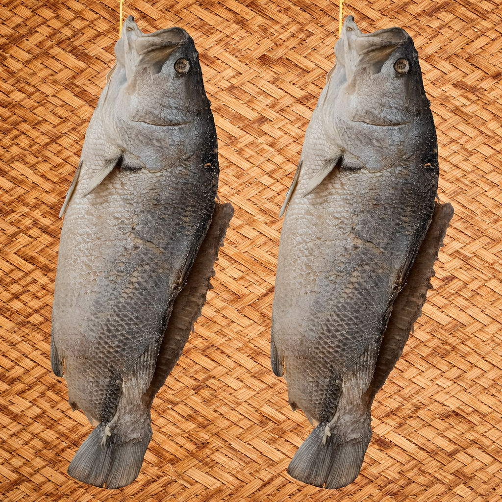 Premium Dry Pandugappa Fish Slices - Godavari Barramundi Bhetki Dry Fish