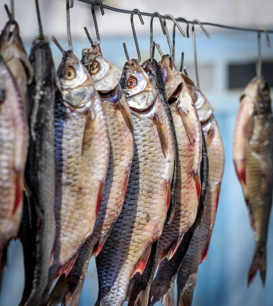 Dry Shell Fish Buy Dry Fish Online at Best Price | Low Cost Wholesale Dry Fish ...
